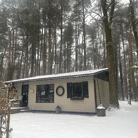 Chalet Sint Zutendaal Kültér fotó